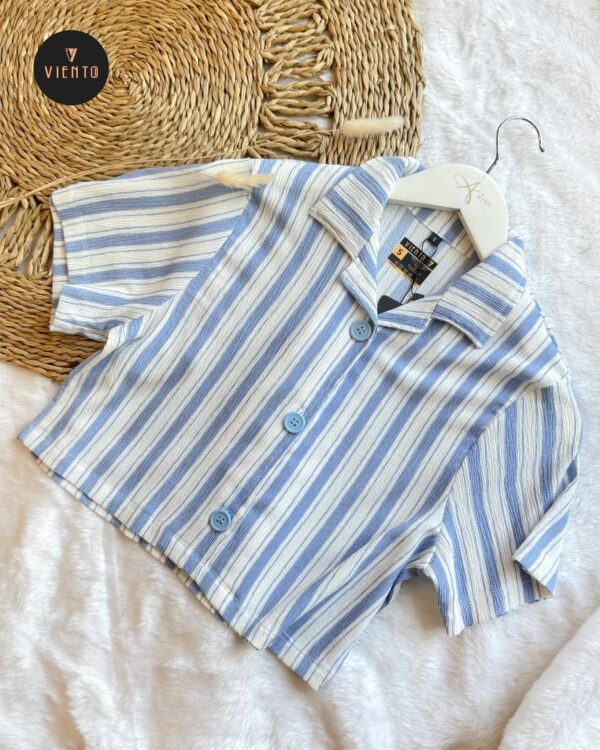 Sky Stripe Crop Top